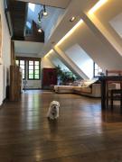 Polas Loft in Old Town Polas Loft in Old Town