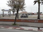 Top Chioggia