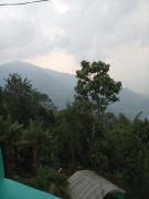 Top Pedong