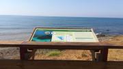 Top Sitio de Calahonda