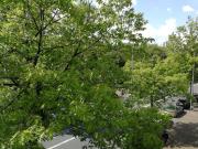 Top Offenbach