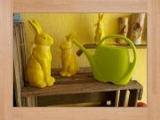 Top Sainte-Marie-aux-Mines