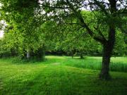 Top Faverolles-sur-Cher