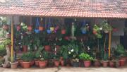 Top Madikeri