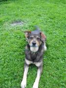 Top Sułoszowa Top Sułoszowa