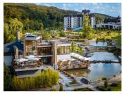 Top Nyzhne Solotvyno