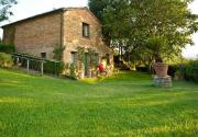 Top Castiglion Fibocchi