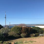 Top Emu Bay Top Emu Bay