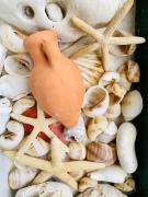 Double A Split Double A Split