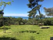Top Umag