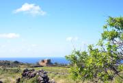 Top Pantelleria