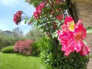 Top Toscolano Maderno