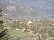 Top Vasiliki