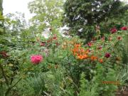 Top Szentgyörgyvölgy