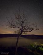 Top Pálmaces de Jadraque