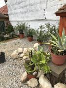 Hív-Lak Apartman Hív-Lak Apartman