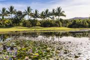 Top Port Douglas