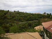 Top Drymon Top Drymon