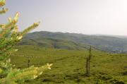 Top Aybastı