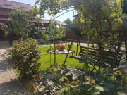 Top Cluj-Napoca Top Cluj-Napoca