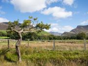 Top Nantlle