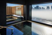 ONSEN RYOKAN YUEN SHINJUKU ONSEN RYOKAN YUEN SHINJUKU