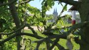 Top Xanten