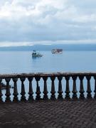 Top Puerto Jiménez Top Puerto Jiménez