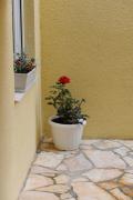 Top Vodice