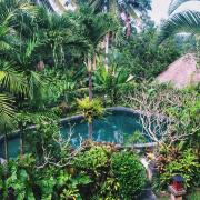 Top Ubud