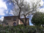 Top Bucine Top Bucine