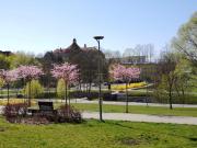 Top Olsztyn