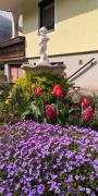 Top Waidhofen an der Ybbs
