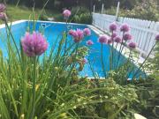 Ferienwohnung Lebenslust Frauen Gasser