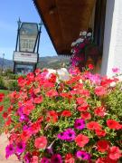Top Glenwood Springs