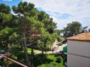 Top Novigrad Istria