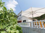 Top Senj