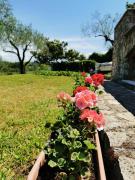 Top Rovinj