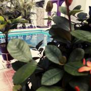 Top San Andrés Tuxtla