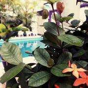 Top San Andrés Tuxtla