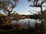 Carmelo RIVERSIDE Bungalows