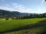 Top Waldkirch