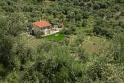 Top Civezza