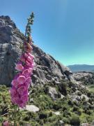 Agriturismo La Vigna