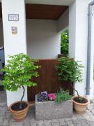 Top Česká Kamenice