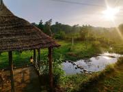 Nature Care Village Farmstay- Rajaji National Park