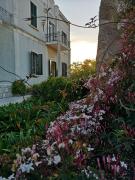 Top Giovinazzo