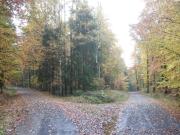 Top Stadtlauringen