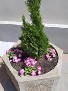 Apartment Resavska Apartment Resavska