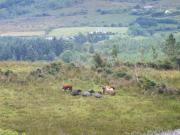 Drumkeeran Holiday Homes